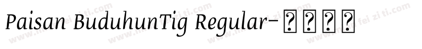 Paisan BuduhunTig Regular字体转换